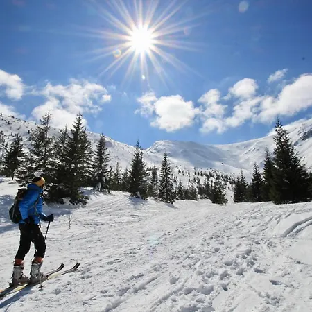 Bazatatry Stokrotka *