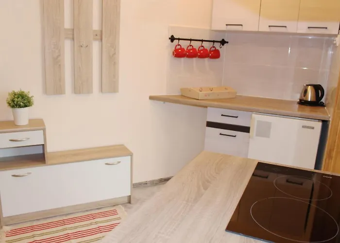 Bazatatry Stokrotka Zakopane