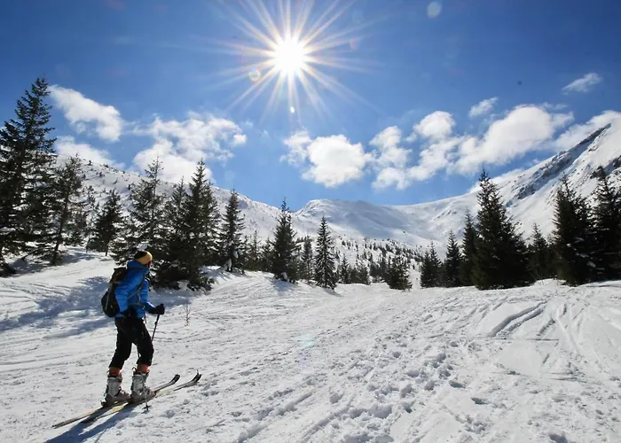 Bazatatry Stokrotka *