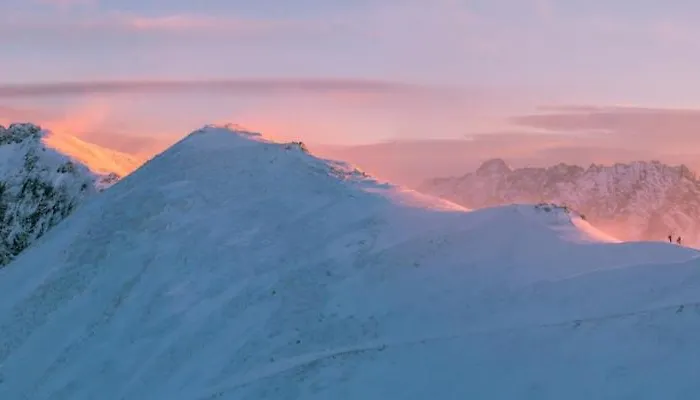 Appartement Bazatatry Stokrotka